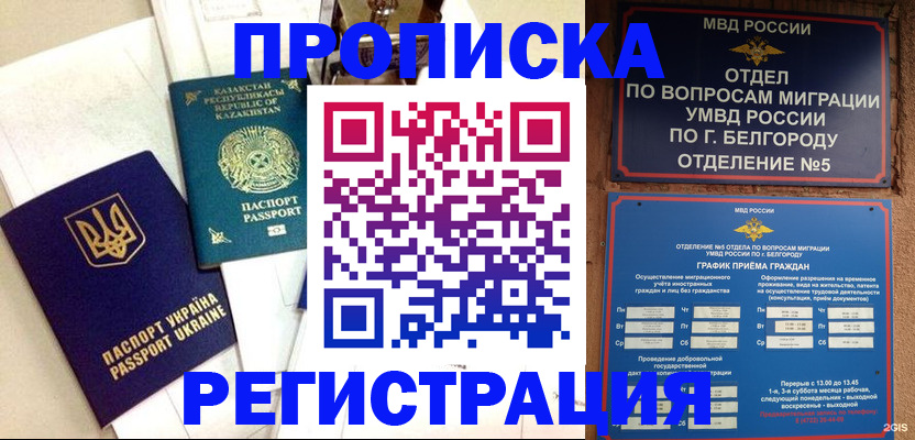временная регистрация 2025 в Кандалакше